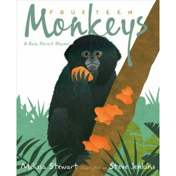 Fourteen Monkeys : A Rain Forest Rhyme (Hardcover)