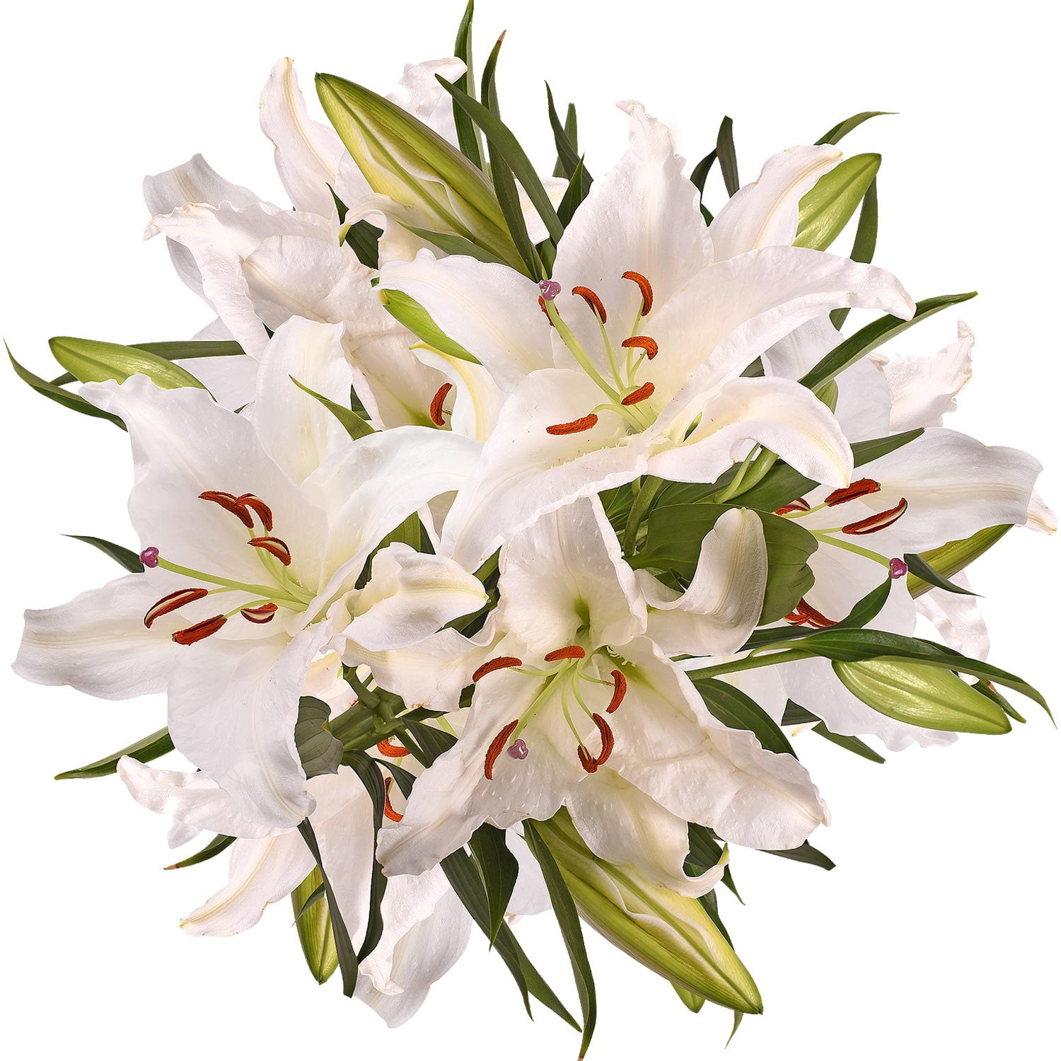 Lily Member's Mark Super Select Oriental Lily, 5 stems - Samsclub.com