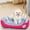 Hot Pink, variant on Egmy Dog Beds for Medium Dogs, Washable Dog Bed, Comfortable and Breathable Pet Bed, Rectangle Warming Dog Bed for Medium Dogs