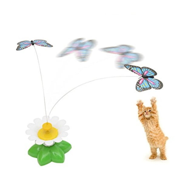 kitten toys walmart