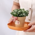 thumbnail image 4 of Plat de Service, Assiette Carrée 6 Pcs avec Organisateur pour la Maison, 4 of 7