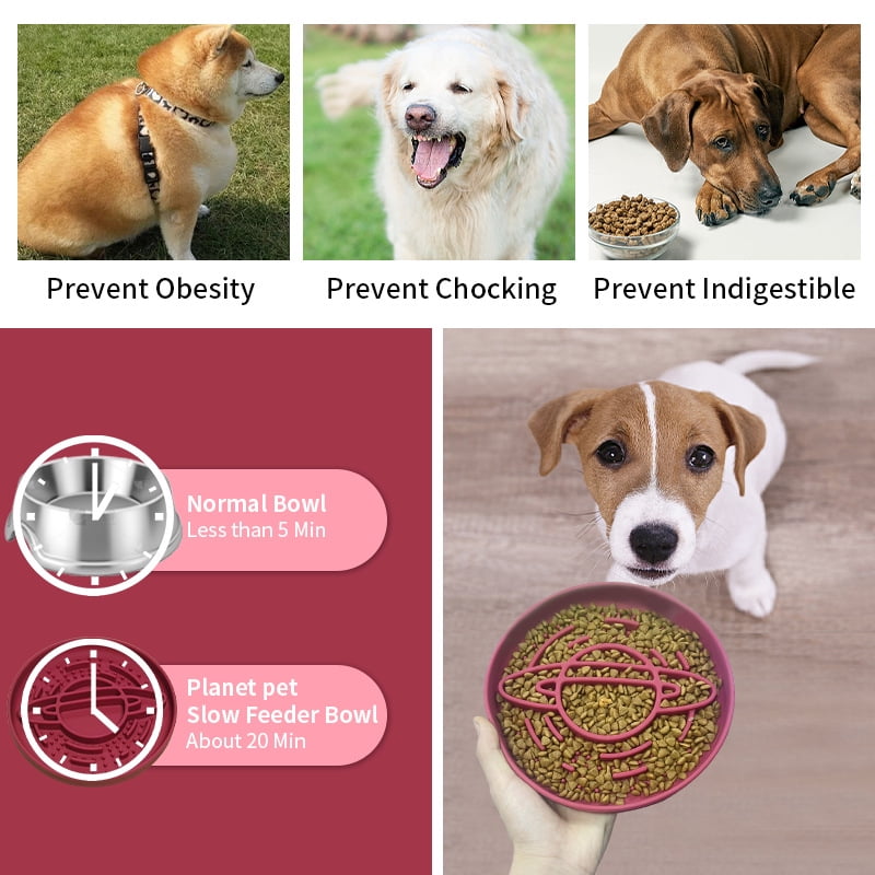 Silicone Slow Feeder Dog Bowl, Anti-Choking Pet Slow Eating Bowl, Non-Slip Feeding Dish for Puppy Medium Large Dogs Indoor Daily Use