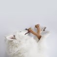 thumbnail image 4 of Benebone Real Flavour Wishbone Dog Chew Toy, Made in USA, 4 of 12
