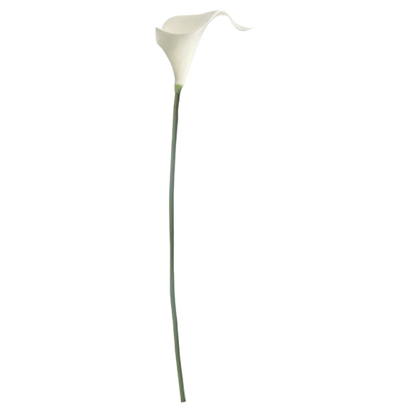 1Stem Artificial White Calla Lily Household Imitation Realistic Artificial Flowers For Seasonal Display White