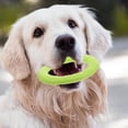 thumbnail image 4 of OULII Dog Throwing Ring Dog Flying Disc Toy EVA Light Green 1Set, 4 of 6