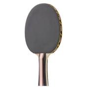 STIGA Performance Table Tennis Set (2 Player Set)