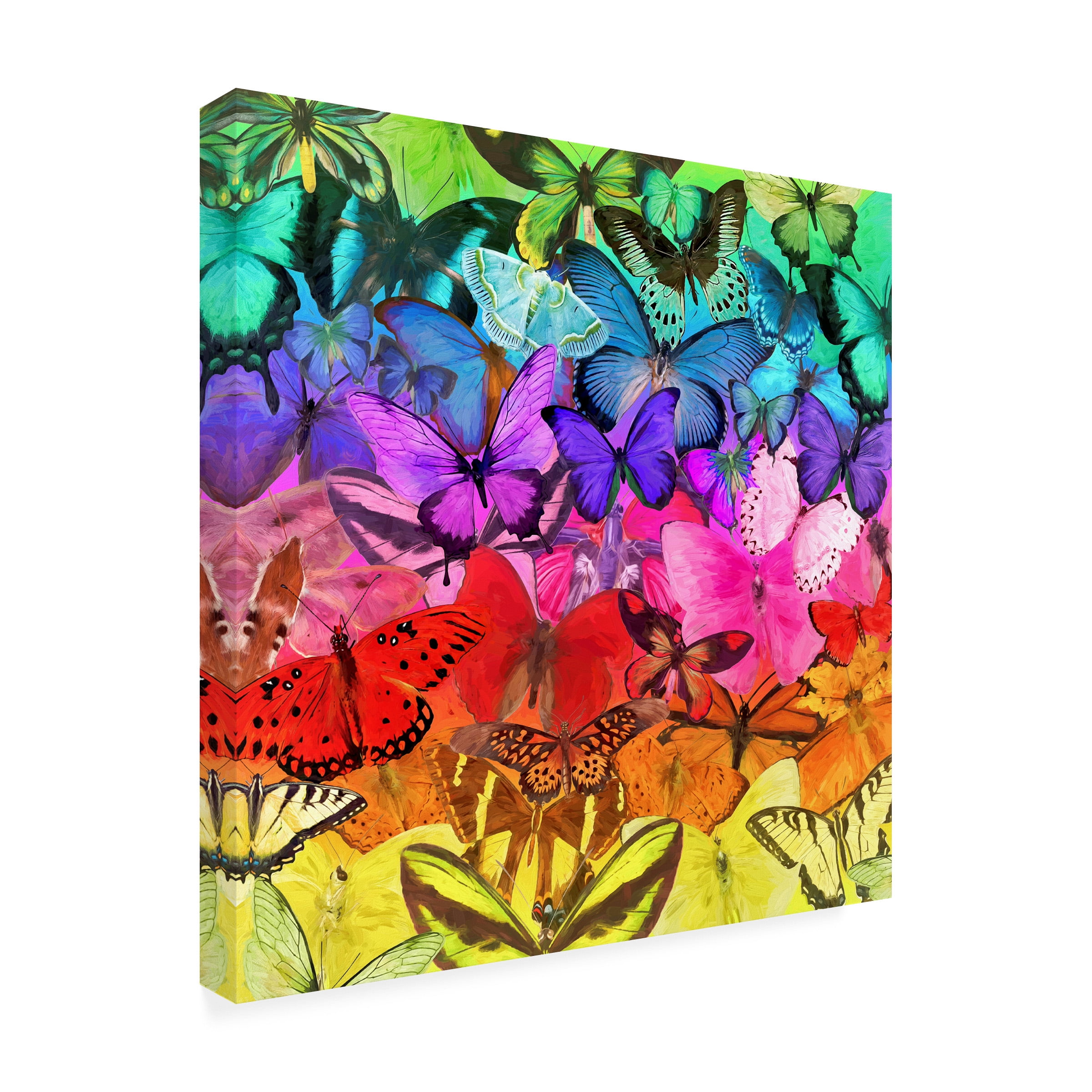 Cora Niele 'Rainbow of Butterflies' Canvas Art