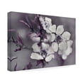 thumbnail image 2 of Gillian Hunt 'Tales from an Enchanted Glen I' Canvas Art, 2 of 4