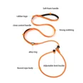 thumbnail image 6 of Nylon Slip Lead Dog Slip Leash and Collar Dog Training Leash with Double Handle Heavy Duty Dog Lead No Pull Puppy Walking Leash (Orange,170cm x 0.6cm), 6 of 7