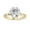 Yellow Gold, variant on Hidden Halo Solitaire Engagement Ring for Women, Center 2.80 Ct Round Cut Lab Grown Diamond Ring In 14K White Gold Over Sterling Silver F-G-H, SI Quality Ring Size-5