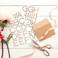 thumbnail image 5 of American Crafts Solid Stickers Rose Gold Foil Large Alphabet - Scrapbooking Embellishments, 5 of 5
