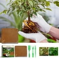 thumbnail image 3 of BANIRO 2026 New 1*60G Coir Brick Coconut Fiber Growing Potting Soil Growing Media for Home Garden Balcony Indoor Plants, 3 of 5