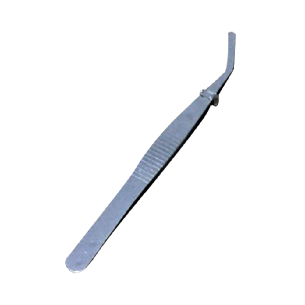 6 Types Of Stainless Steel Feeding Tweezers Straight Head Gardening