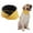 Yellow, variant on Dog Scarf Reversible Warm Circle Loop Scarf Pet Neck Warmer Gaiter for Winter