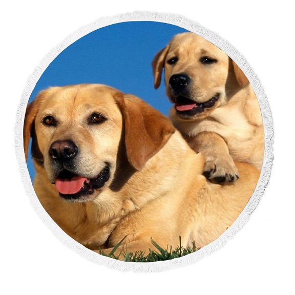 ZKGK Labrador Retriever Round Beach Towel Beach Mats Beach Shawl Beach Blanket with Tassels Beach Throw Towel Yoga Mat