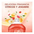 thumbnail image 4 of Limpiador Líquido Multiusos Fabuloso Sensaciones Cítrico y Jengibre Energía 1.3 L, 4 of 4
