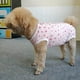 thumbnail image 5 of Traje de recuperación para perros, camisa posquirúrgica para cachorros, ropa protectora para heridas para animales pequeños, 5 of 6