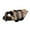 Camouflage Size XXS S8, variant on Dog Life Jacket, ZzCityTK Reflective Safety Pet Swimsuit, Buoyant Mesh Dog Coat with D-Ring Leash Attachment for Beach Swimming