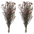 thumbnail image 5 of Vickerman 16" Purple Orchid Rice Flower.  Comes in an 8 oz Bundle. Preserved, 5 of 5