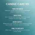 thumbnail image 6 of Yankee Candle Small Tumbler Scented Single Wick Jar Candle, Bahama Breeze, 4.3 oz (Pack of 4), 6 of 8