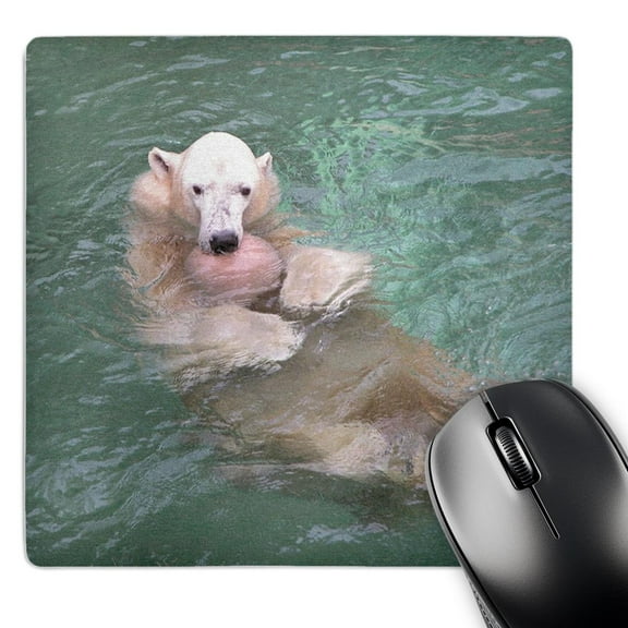 3dRose, Playful Polar Bear, MousePad
