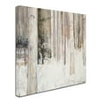 thumbnail image 2 of Trademark Fine Art 'Warm Winter Light II' Canvas Art by Julia Purinton, 2 of 3
