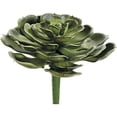 thumbnail image 1 of 5" Hen and Chicks Pick Green (Pack of 12), 1 of 2