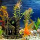 thumbnail image 4 of unbranded De Acuario Con Figurilla Roman Colosseum De Resina Café Resistente Y Sin Mantenimiento, 4 of 7