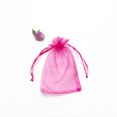 thumbnail image 3 of Bolsas de protección para plantas, frutas y verduras para huertos, red con cordón para jardinería, antipájaros, bolsa de malla para caramelos, uvas y manzanas, 3 of 5