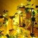 thumbnail image 1 of Guirnalda de luces artificiales de hojas de arce verdes, 5 m, 50 LED/10 m, 100 LED, para colgar en la pared, con batería, de plástico, de ratán, para decoración de bodas, fiestas, hogar, jardín y, 1 of 2