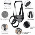 thumbnail image 3 of Support Sling for Dog Mobility - Soft Lifting Harness for Back Legs & Injury Assistance, 3 of 5