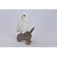 thumbnail image 3 of Statue d'Animal de Jardin Snowy Owl sur Souche, 3 of 4