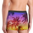thumbnail image 5 of Balery Palm Trees at Sunset Men's Boxer Briefs, Soft and Breathable Cotton Underwear with nylon Waistband-Medium, 5 of 9
