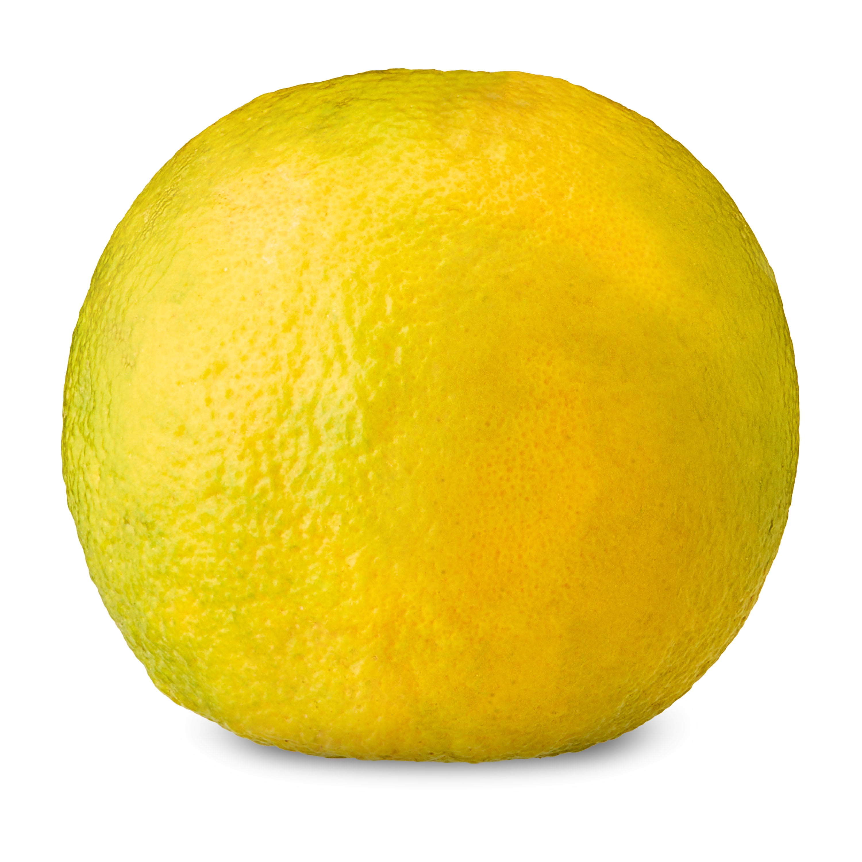 Fresh Sour Orange, Each