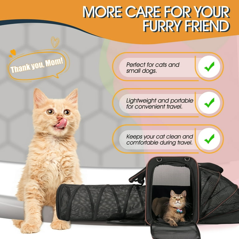 Cat tunnel litter box discount