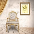 thumbnail image 3 of PI Collection 11x14 Gold Ornate Wood Framed with Double Matting Museum Art Print Titled - Wild Mock, 3 of 4