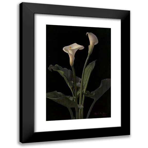 George Cochran Lambdin 11x14 Black Modern Framed Museum Art Print Titled - Calla Lilies (1878)