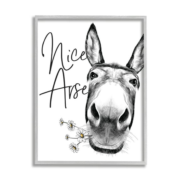 Stupell Industries Donkey Portrait Nice Arse Animal Pun Daisey Florals Novelty Painting Gray Framed Art Print Wall Art, 16 x 20, Design by Lettered and Lined