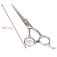 thumbnail image 1 of Professional 6 Inch Hairdressing Scissors with Precise Cutting and Durable Metallic Build for Salon, 1 of 4