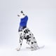 thumbnail image 4 of Orejeras para cachorros, cómodas orejeras para perros a prueba de frío, accesorio para mascotas, 4 of 5