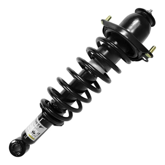 Suspension Strut and Coil Spring Assembly.