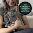 thumbnail image 6 of Sheba Perfect Portions Kitten Salmon Pate Entree Wet Cat Food, 2.6 Oz Twin-Pack Tray (Pack of 6), 6 of 6