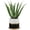 Black white Pot, variant on Succulents Artificial Plants Fake Agave Aloe Vera Fake Plants in Gold and Black Pot Home Decor