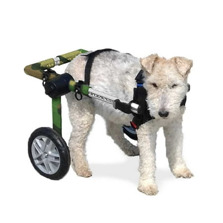 Veterinarian Approved Dog Toys Veterinarian Approved Dog Toys