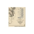 thumbnail image 2 of Historical Civil War Map - Antietam Battlefield I- Stearns 1862  - Vintage Wall Art, 2 of 4