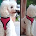 thumbnail image 4 of Arnés de malla suave para cachorros, perros y gatos, chaleco transpirable para caminar para mascotas, acolchado, rosa XS Ehuebsd Para estrenar, 4 of 9
