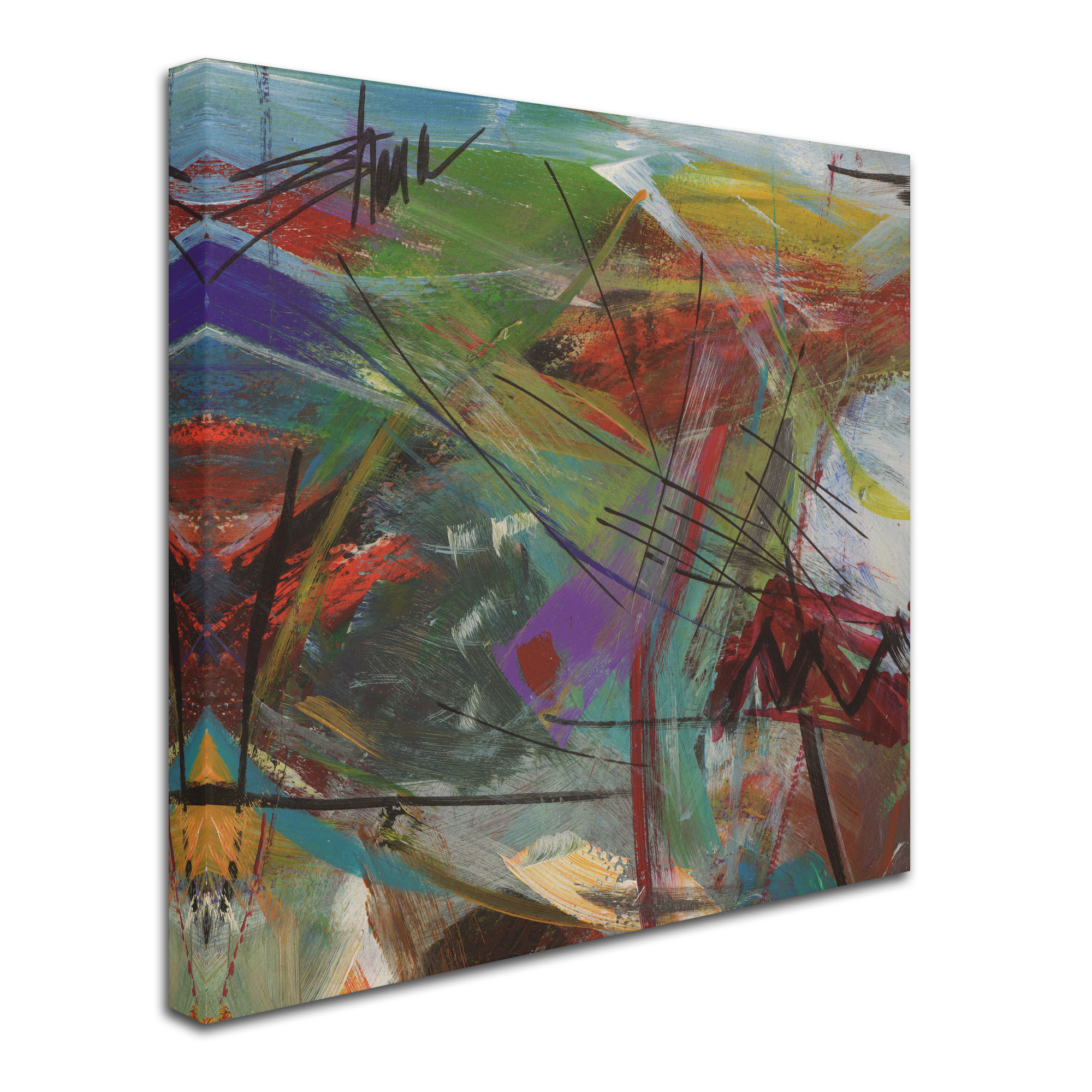 Trademark Fine Art 'Inescapable V' Canvas Art by Shana Dominguez