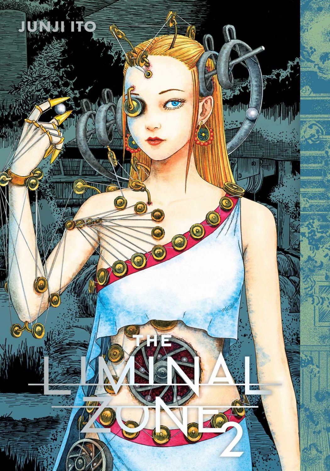 The Liminal Zone (Hardcover) - Walmart.com