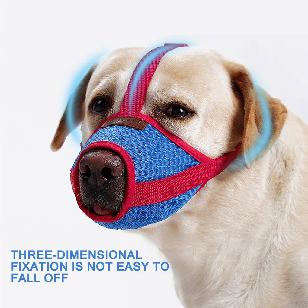 Anti bark muzzle pets at home outlet
