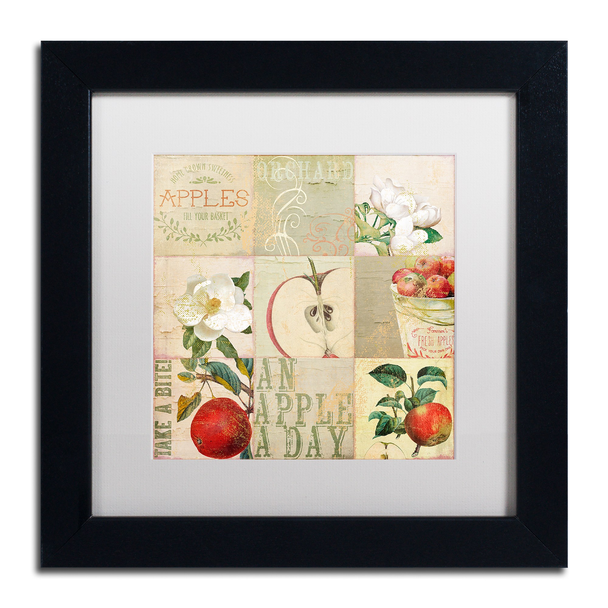 Trademark Fine Art "Apple Blossoms III" Canvas Art by Color Bakery White Matte, Black Frame